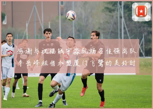 感谢与祝福钱宇淼阮杨吕佳强离队李岳峰租借加盟厦门飞鹭的美好时刻